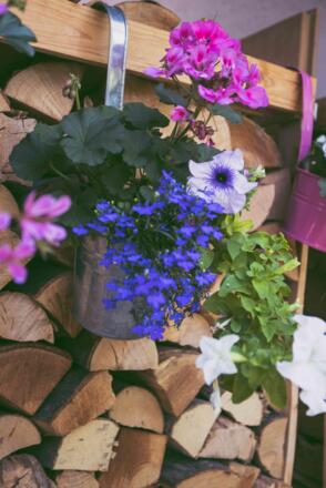 Brennholz für den nächsten Winter