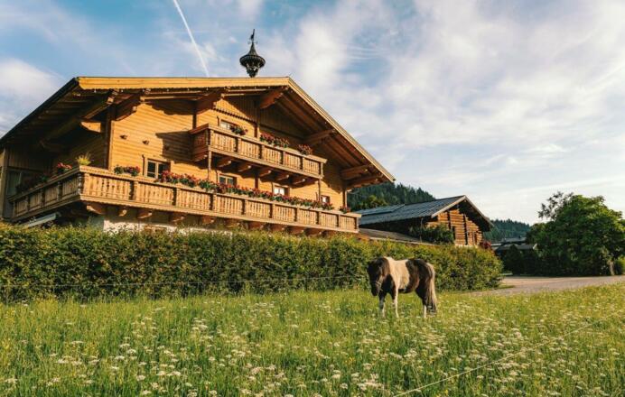 Wimmhof Sommer
