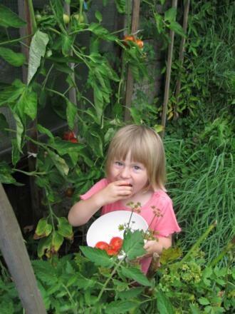 Blick von der 'Halt'