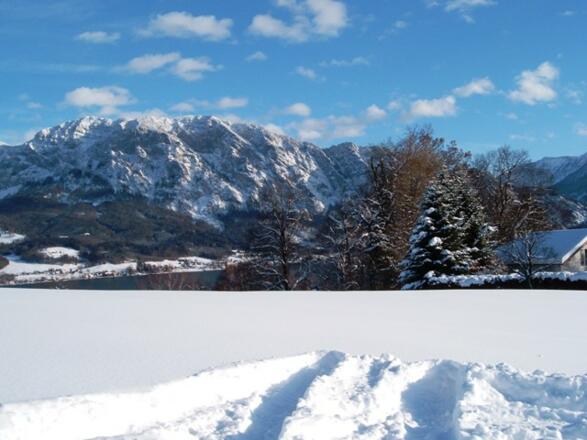 Winter am Attersee