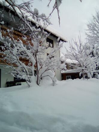 IMG_20190111_105804 (1)