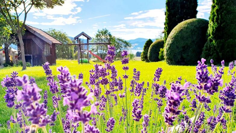 Ferienwohnung Leitner Blumen