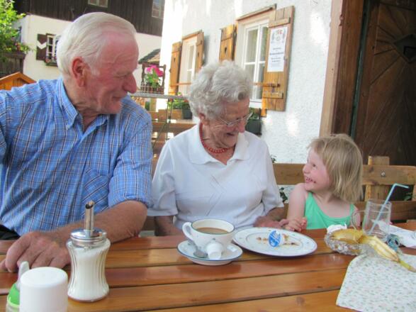 Blick auf den Attersee