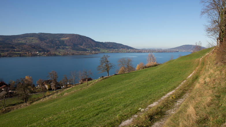 Blick über Attersee Mostschenke Grablerhof Familie Holzinger Steinbach am Attersee