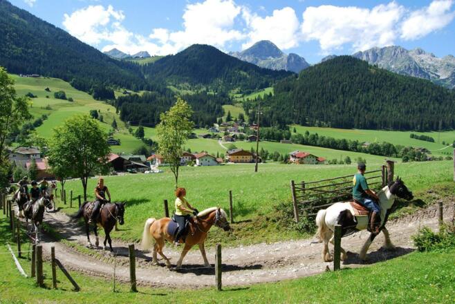 Wander-Reiten