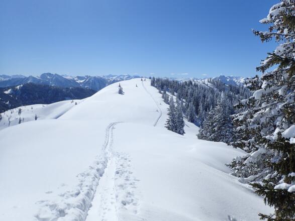Kammwanderung zum Ahornstein