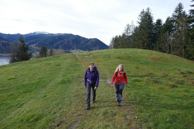 Freie Wiesenflächen wie diese sind beim Aufstieg zum Rohnberg eher selten.