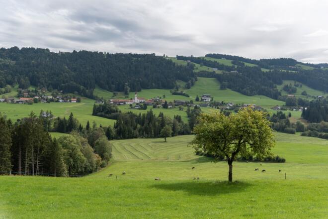 Blick auf Thal