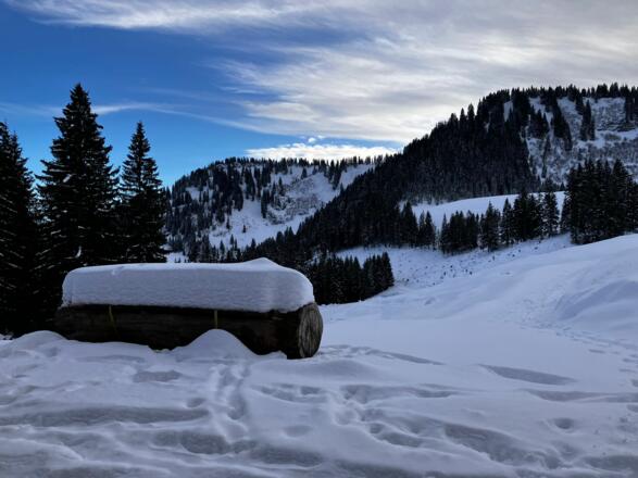 Stolzenberg im Hintergrund.