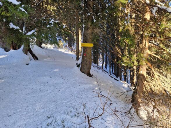 Abzweigung zurück zur Haushamer Alm.
