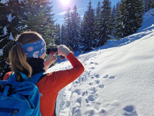 Viele schöne Bildmotive unterwegs.