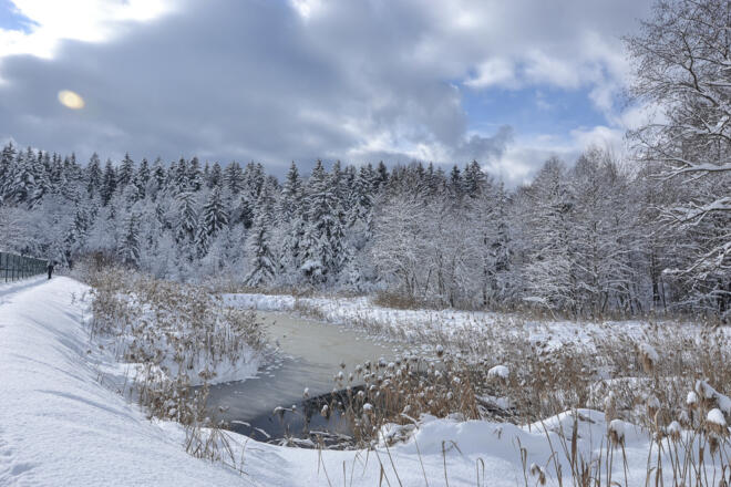 Winter am Aschauerweiher