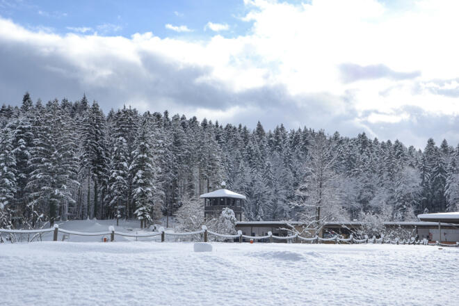 Winter am Aschauerweiher