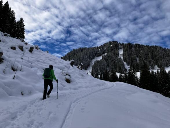 Kurz unterhalb der Haushamer Alm.