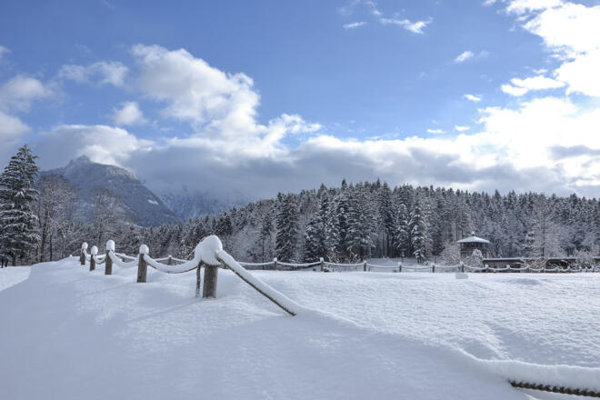 Winter am Aschauerweiher