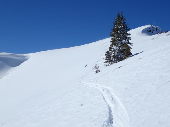 Abfahrt Schneeberg Ostrücken
