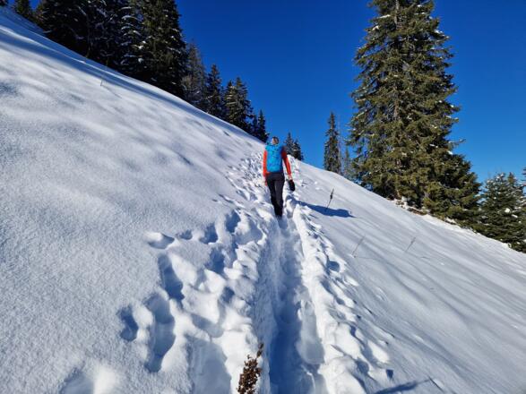 Querung unterhalb des Gipfelbereichs.