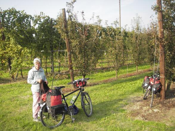Rast im Obstgarten