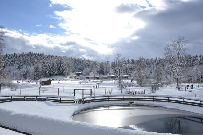 Winter am Aschauerweiher