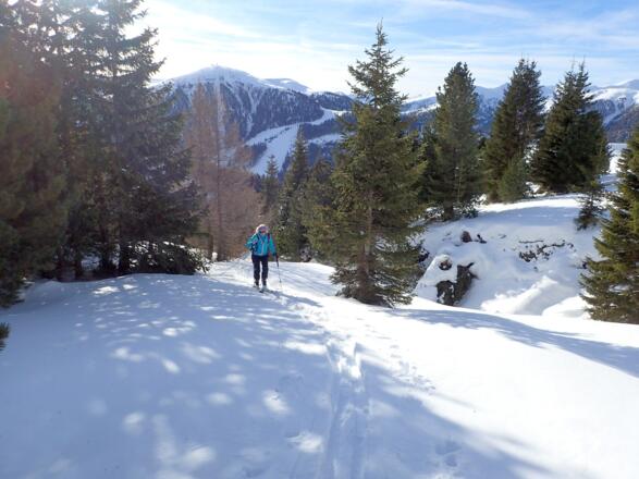Durch lichten Wald zur Blutigen Alm