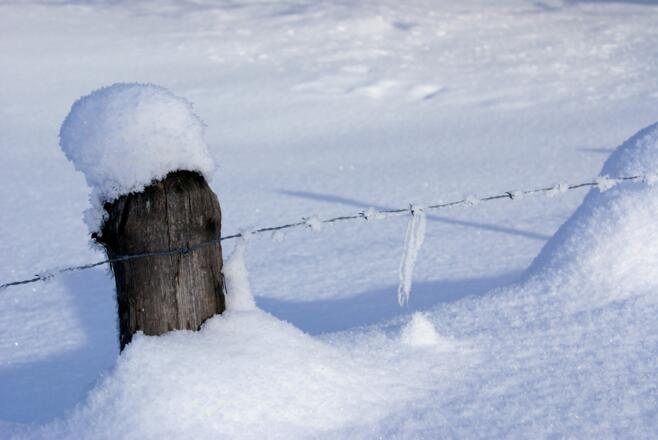 Winter in der Schönau