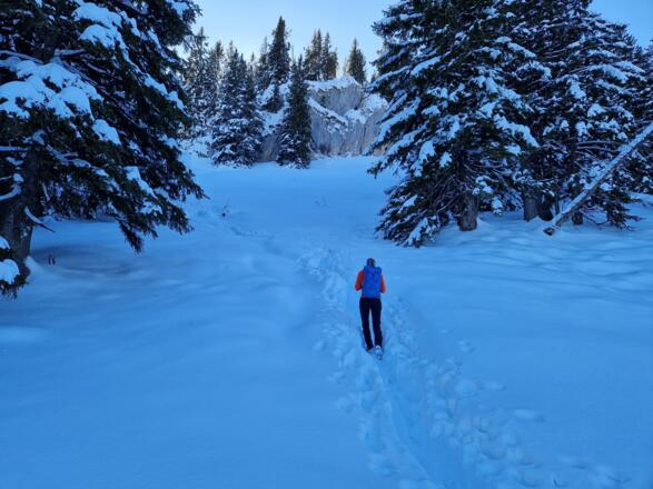 Letztes leichtes Steilstück vor dem Gipfel.