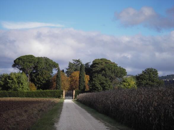 Gartenanlage