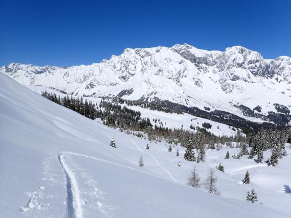Aufstieg zum Schneebergkreuz