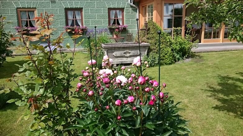 Blick vom Garten auf den Wintergarten