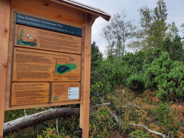 Infotafel im Finsterauer Filz