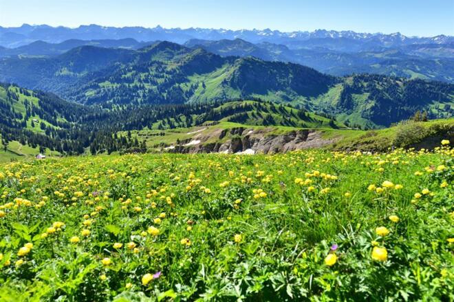 Landschaftsaufnahme