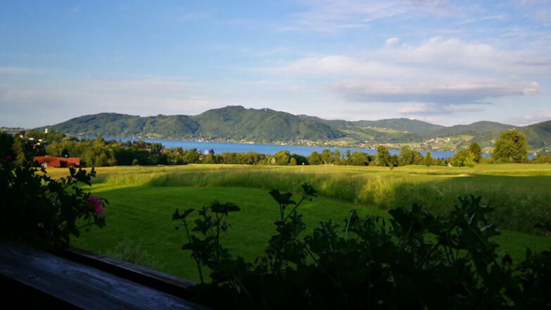 Ausblick auf den Attersee, Ferienwohnung Seiringer