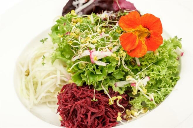 Veggie-Küche