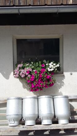 Blumenpracht am Stall