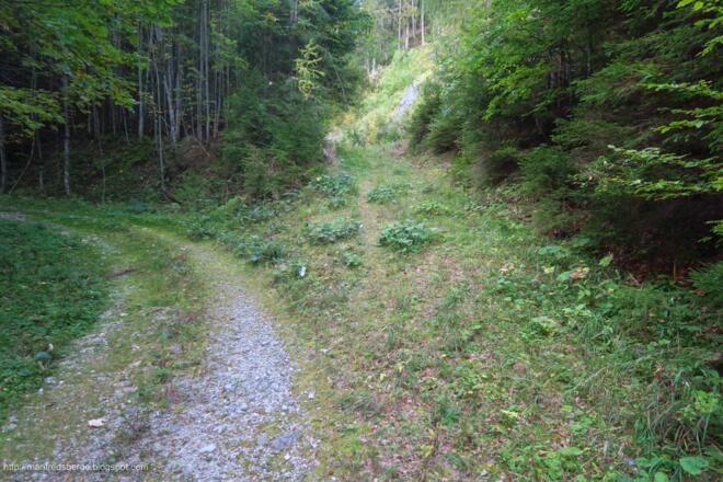 Nachdem man der Forststraße gefolgt ist, muss man hier rechts rein