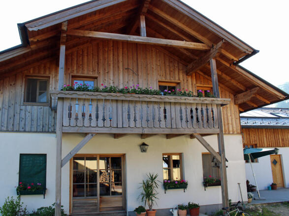 Fewo Maria Zopf Steinbach am Attersee