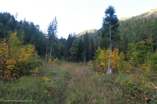 Meist gibt es deutliche Steigspuren