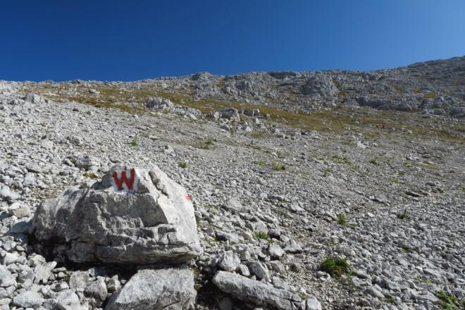 Jetzt folgt der steile Anstieg auf den Liezener am Wandersteig