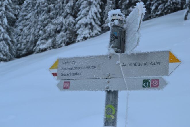 Gefrorener Wegweiser ins Schwarzwassertal.