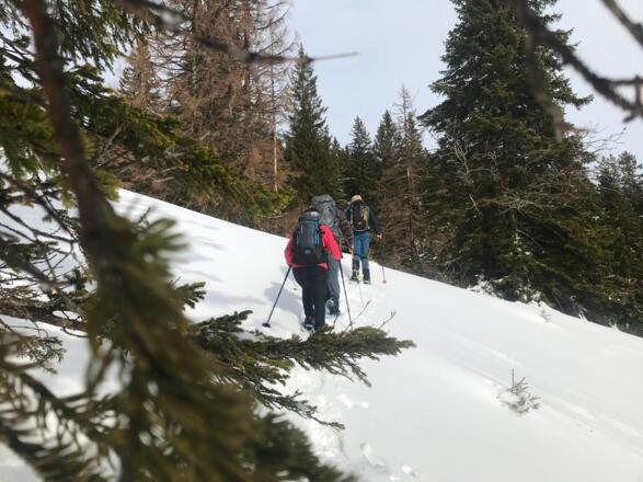 Auf Schneeschuhen zum Wertacher Hörnle