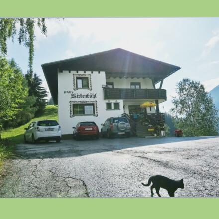 PHOTO-2018-07-07-11-40-35