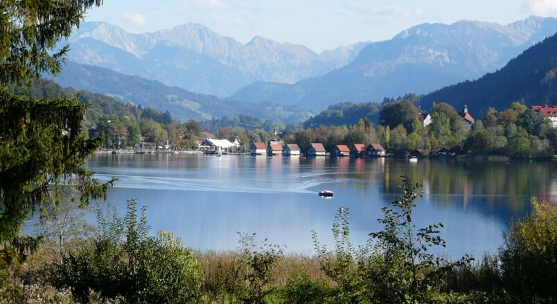 Großer Alpsee
