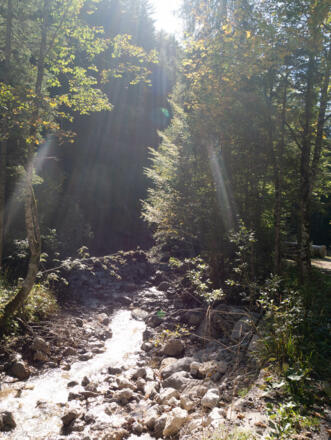 entlang des Hirschbach steil bergauf.