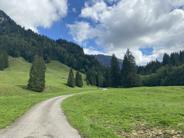 Allgäu Bayern Wandern Tal Berge Ifen