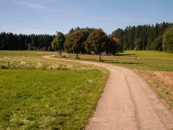 Von Holzkirchen nach Kleinhartpenning