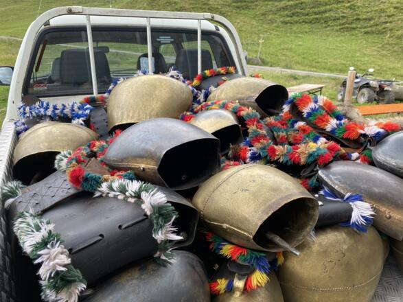Viehscheid Almabtrieb Kühe Wandern Herbst