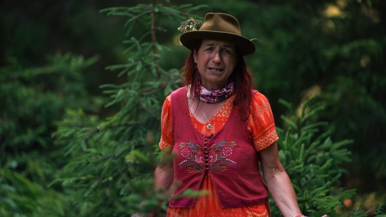 Die Sage „Der Hirtenjunge und die Silberer“ erzählt von Hertha Glück auf Hochdeutsch ...