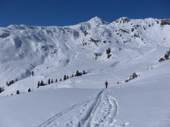 Salzachalm und Östl. Salzachgeier