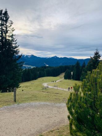 Abstieg von der Neureuth Richtung Tegernsee