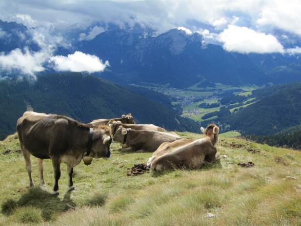 Almfrieden
